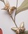 pap-deco-butterfly-14-visual.jpg