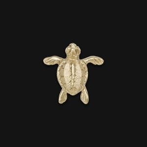pap-deco-Turtle_mosiadz_naturalny-300x300.jpg