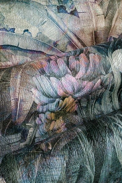 wonderwall-tapety-scienne3-kenia-megaaranz.jpg