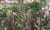 wonderwall-tapety-scienne6-kenia-megaaranz.jpg