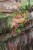wonderwall-tapety-scienne7-kenia-megaaranz.jpg