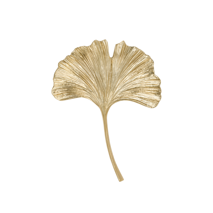 GINKGOZ.png