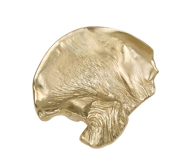 Fold-uchwyty-meblowe-mosiadz-zloto-papdeco-megaaranz.png