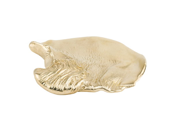 fold-1-uchwyty-meblowe-mosiadz-zloto-papdeco-megaaranz.png