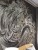 aves-3-tapeta-fototapeta-wonderwall-scienna-winylowa-megaaranz.jpg