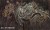 aves-35048206-tapeta-fototapeta-wonderwall-scienna-winylowa-megaaranz.jpg