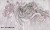 aves-35048201-tapeta-fototapeta-wonderwall-scienna-winylowa-megaaranz.jpg