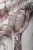 aves-tapeta-1-fototapeta-wonderwall-scienna-winylowa-megaaranz.jpg