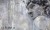david-1-tapeta-wonderwall-fototapeta-3d-scienna-megaaranz-1.jpg