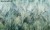 dune-tapeta-scienna-liscie-wonderwall-winylowa-megaaranz-35047708.jpg
