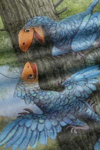 wonderwall-dekoracje-sciany-tapeta-scienna-aranzacja-winylowa-megaaranz-jurassic-3.jpg