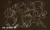wonderwall-dekoracje-tapeta-scienna-design-fototapeta-megaaranz-felis-3.jpg