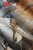 wonderwall-dekoracje-tapeta-scienna-design-fototapeta-megaaranz-accent-5.jpg