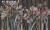wonderwall-tapety-scienne-dekoracje-aranzacja-winylowe-megaaranz-amaryllis-4.jpg