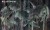 lotos-wonderwall-tapety-fototapety-aranzacja-dziela-megaaranz-2.jpg