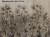 Passiflora-art-340-31-2101-tapety-scienne-fototapety-obrazy-sztuka-wallcraft-megaaranz.jpg