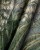Yucca-wonderwall-tapety-fototapety-obrazy-sztuka-art-wzory-scienne-megaaranz-1.jpg