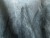 Canna-tekstura-wallcraft-tapety-fototapety-wzualizacja-aranzacja-wnetrza-megaaranz.jpg