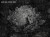Gotti-Art.-570-31-2201-600x450-tapety-scienne-fototapety-obrazy-dziela-natura-aranzacja-wallcraft-megaaranz.jpg