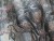 ilar-tekstura-tapety-scienne-fototapety-obrazy-dziela-natura-aranzacja-wallcraft-megaaranz.jpg