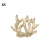 Coral_XS_pap_deco_uchwyt_dekoracja_scienna_megaaranz.png