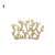 Coral_S_pap_deco_uchwyt_dekoracja_scienna_megaaranz.png