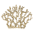 Coral.png