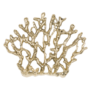 Coral.png
