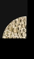 moon-025-pap-deco-uchwyt-meblowy-mosiadz-exclusive-megaaranz.png