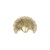 Venus-uchwyty-meblowe-mosiadz-mosiezne-pap-deco-design-megaaranz.jpg