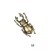 Heksa-M-uchwyty-meblowe-mosiadz-mosiezne-pap-deco-design-megaaranz.jpg