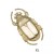Scarab-XL-uchwyty-meblowe-mosiadz-mosiezne-pap-deco-design-megaaranz.jpg
