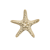 Seastar-Limited-Edition-uchwyty-meblowe-mosiadz-mosiezne-pap-deco-design-megaaranz.png