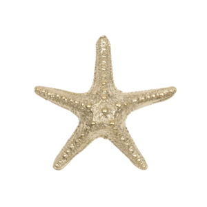 Seastar-Limited-Edition-XL-uchwyty-meblowe-mosiadz-mosiezne-pap-deco-design-megaaranz.png