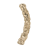 Carbon-M-uchwyty-meblowe-dekoracje-mosiezne-mosiadz-zloto-gold-pap-deco-megaaranz.png