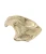 PIEZA-B-UCHWYT-MEBLOWY-DEKORACJA-GOLD-ORYGINALNY-PAP-DECO-MEGAARANZ.webp