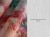 Farvi-1Farvi-tapeta-scienna-wallpaper-wall-remont-wallcraft-megaaranz.jpg