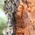 KOREK-NATURALNY.webp