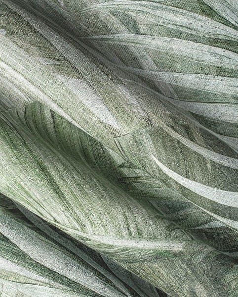 Areca-1d3-Areca-wonderwall-tapeta-scienna-na-wymiar-fototapeta-megaaranz.jpg