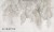 Areca_36-0617-02-Areca-wonderwall-tapeta-scienna-na-wymiar-fototapeta-megaaranz.jpg