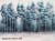 Enigma-Art.-765-31-2301-tapety-scienne-na-wymiar-fototapety-obrazy-wallcraft-megaaranz-sklep.jpg