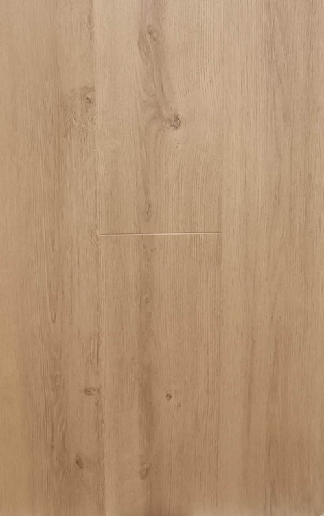 353828632_828912358663517_953046915107729033_n.jpg