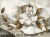 Bohemia-Art.-735-31-2301-600x450-Bohemia-wallcraft-tapety-scienne-fototapety-obrazy-winylowe-megaaranz.jpg