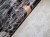 Protea-Capri-tapety-scienne-winylowe-fototapety-obrazy-wallcraft-megaaranz.jpg