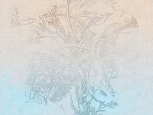 SisalOmbreFlower-wallart-tapety-w-rolkach-na-wymiar-fototapety-obrazy-mega-megaaranz-aranzacje-scienne.jpg