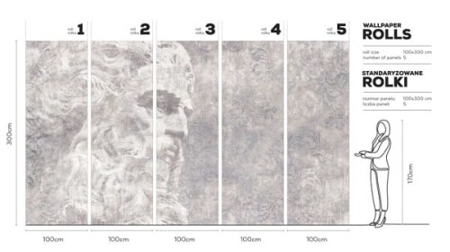 Platon-karta-tapety-scienne-fototapety-obrazy-malowane-wallart-design-megaaranz.jpg