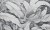 Inverso_textura_wallart_megaaranz_tapety_scienne_fototapety_dziela_obrazy_winyl.jpg