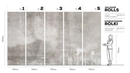 Sonitus_karta_wallart_megaaranz_design_tapety_scienne_rolki_fototapety_dom_aranzacje_2.jpg