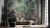 Fairytale_wiz_tapeta_scienna_fototapeta_obraz_design_wallart_megaaranz.jpg
