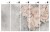 Persephone_bryty_tapeta_scienna_fototapeta_obraz_design_wallart_megaaranz.jpg